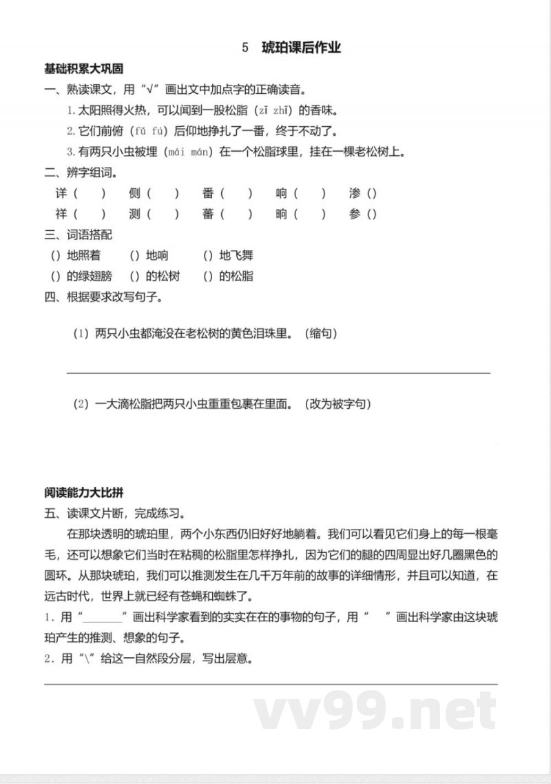 统编版语文四年级下册习题:5 琥珀 统编版语文四年级下册习题:5 琥珀