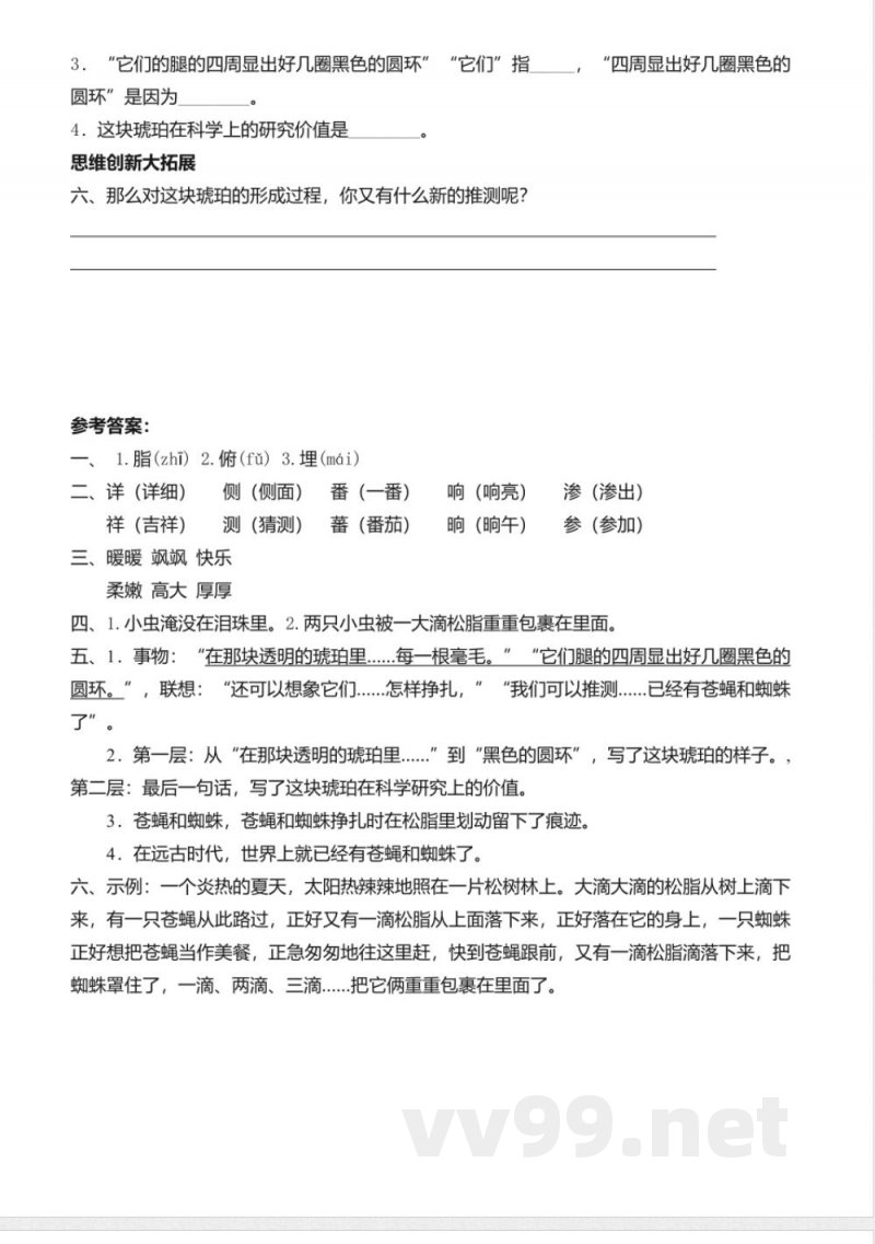 统编版语文四年级下册习题:5 琥珀 统编版语文四年级下册习题:5 琥珀