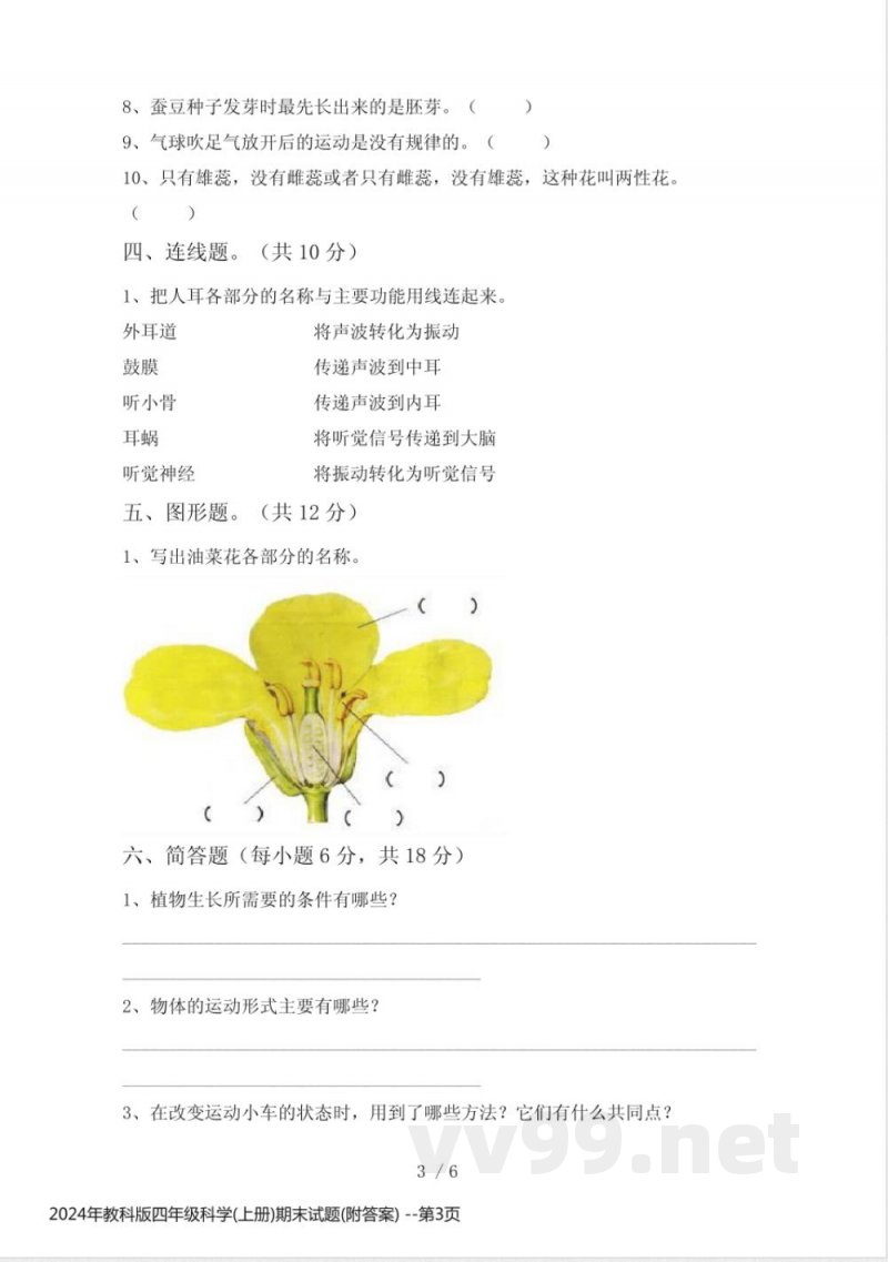 2024年教科版四年级科学(上册)期末试题(附答案)