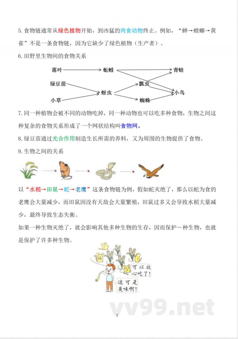 新改版教科版五年级下册科学全册知识点 新改版教科版五年级下册科学全册知识点