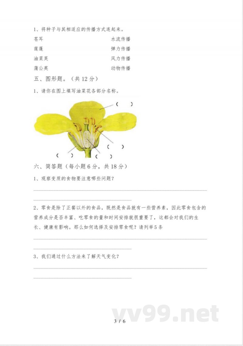 教科版四年级《科学》上册期中试卷及答案【完整版】