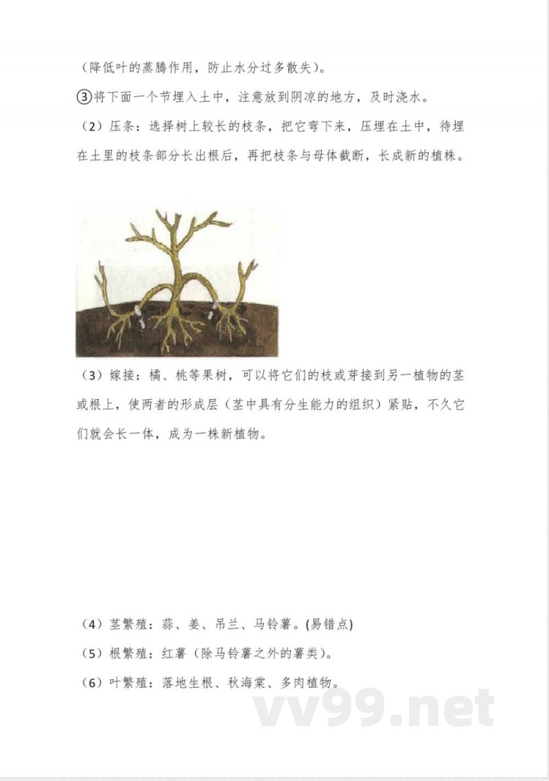 新青岛版科学三年级下册第四单元知识点 新青岛版科学三年级下册第四单元知识点