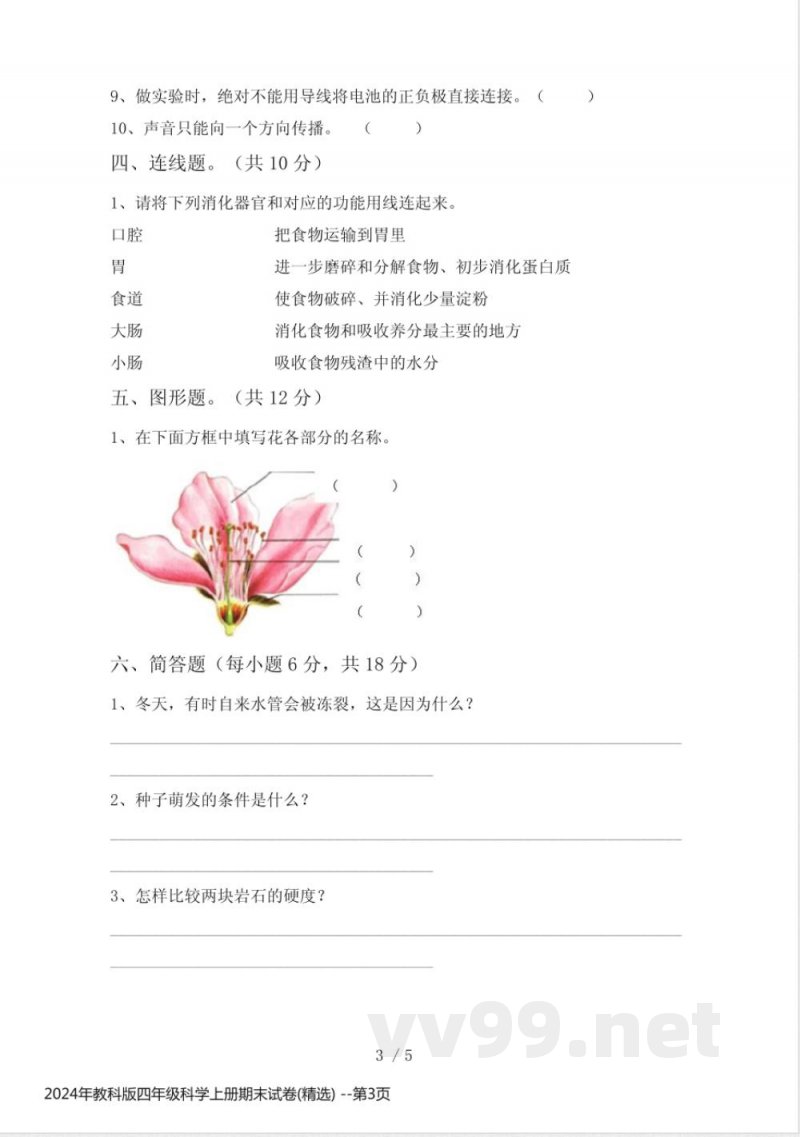 2024年教科版四年级科学上册期末试卷(精选)