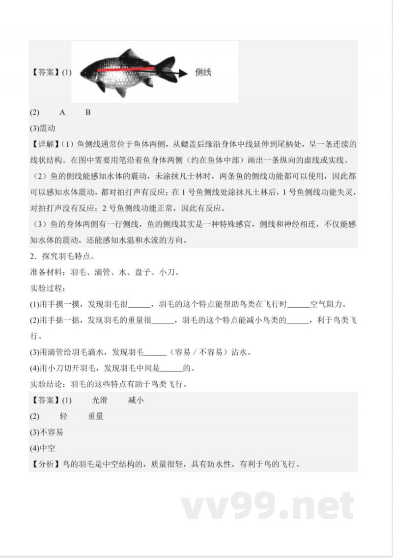 2025青岛版三年级科学上册全册单元知识清单