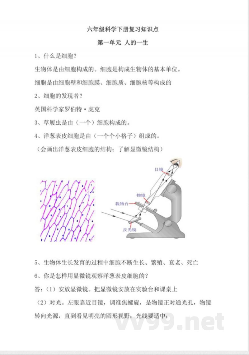六年级科学下册知识点 六年级科学下册知识点
