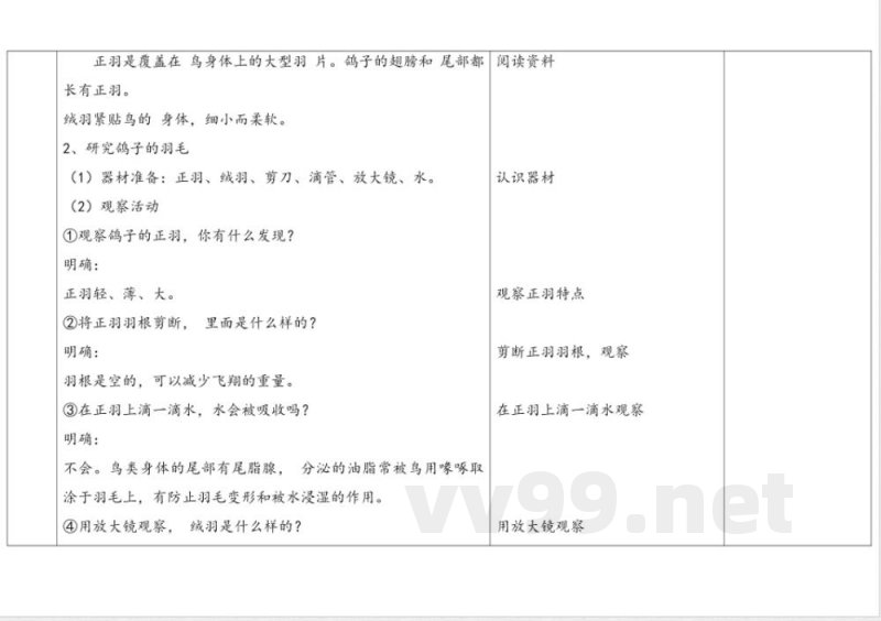 1.3《鸟类》 教案 苏教版科学四年级上册