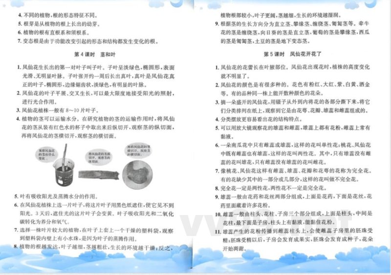 教科版四年级下册科学单元知识梳理 教科版四年级下册科学单元知识梳理
