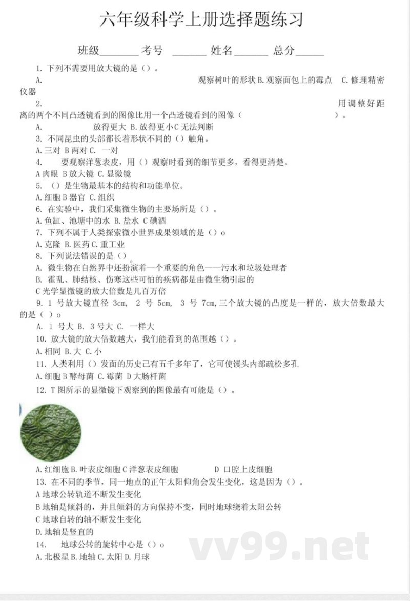 小学科学教科版六年级上册期末选择题专项练习(共50题)(2021新版)(附参 小学科学教科版六年级上册期末选择题专项练习(共50题)(2021新版)(附参
