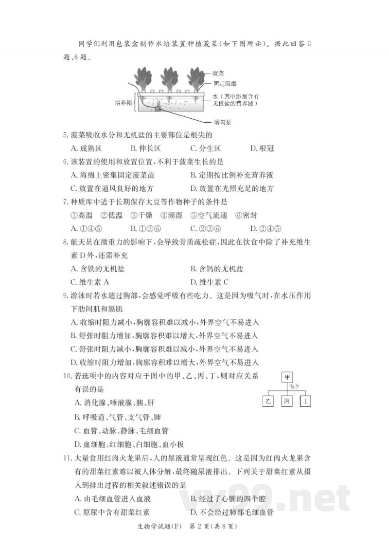 湖南师大附中教育集团联考2024-2025学年八年级下学期4月期中生物试题(附答案) 湖南师大附中教育集团联考2024-2025学年八年级下学期4月期中生物试题(附答案)