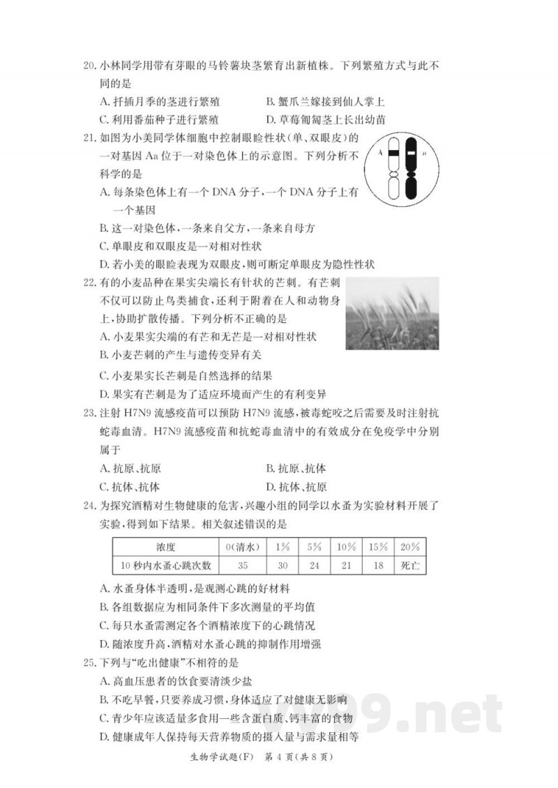 湖南师大附中教育集团联考2024-2025学年八年级下学期4月期中生物试题(附答案) 湖南师大附中教育集团联考2024-2025学年八年级下学期4月期中生物试题(附答案)