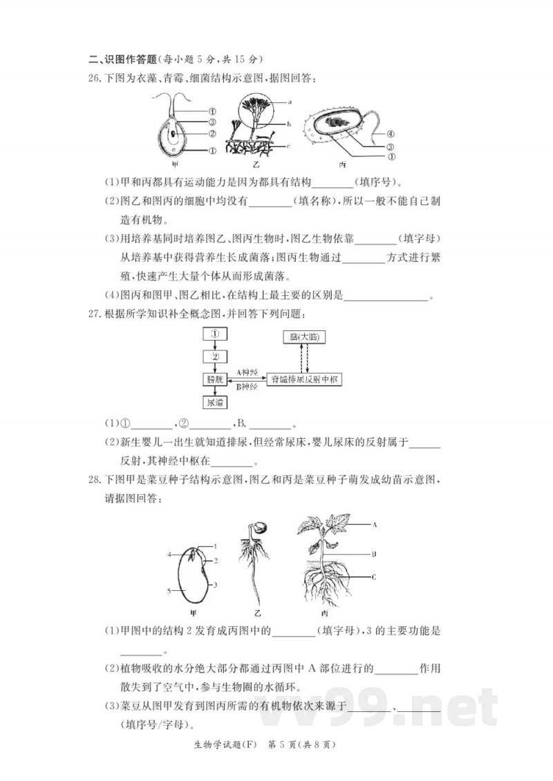 湖南师大附中教育集团联考2024-2025学年八年级下学期4月期中生物试题(附答案) 湖南师大附中教育集团联考2024-2025学年八年级下学期4月期中生物试题(附答案)