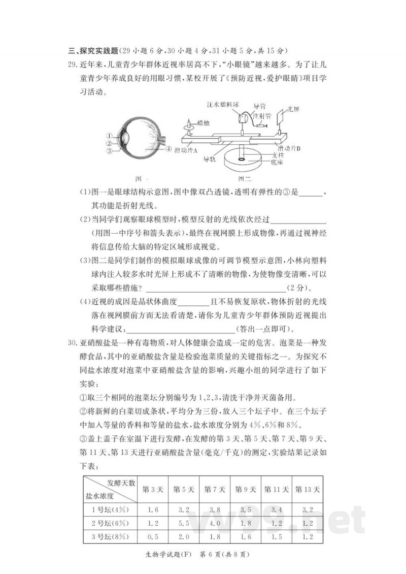 湖南师大附中教育集团联考2024-2025学年八年级下学期4月期中生物试题(附答案) 湖南师大附中教育集团联考2024-2025学年八年级下学期4月期中生物试题(附答案)