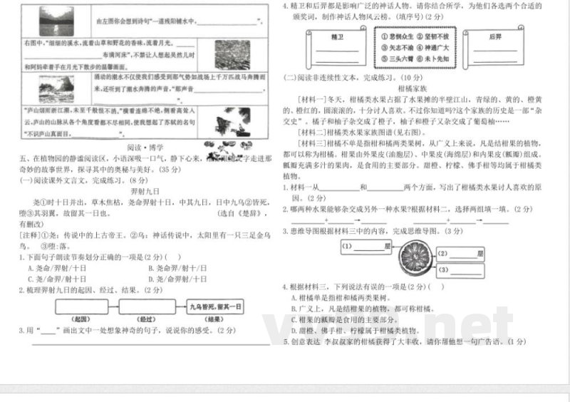 统编版四年级语文上册期中拔尖测评卷(含答案) 统编版四年级语文上册期中拔尖测评卷(含答案)
