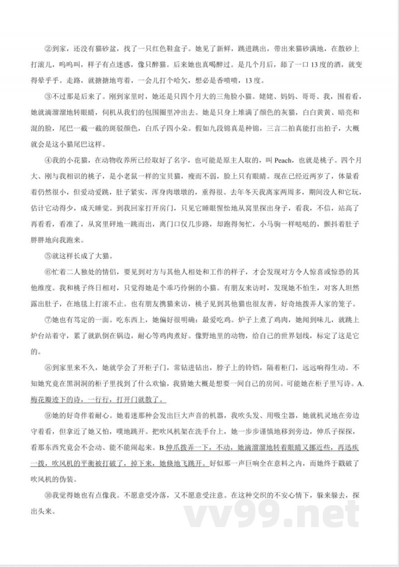第17课《猫》同步练习 (含解析) 2025—2026学年统编版语文七年级上册 第17课《猫》同步练习 (含解析) 2025—2026学年统编版语文七年级上册