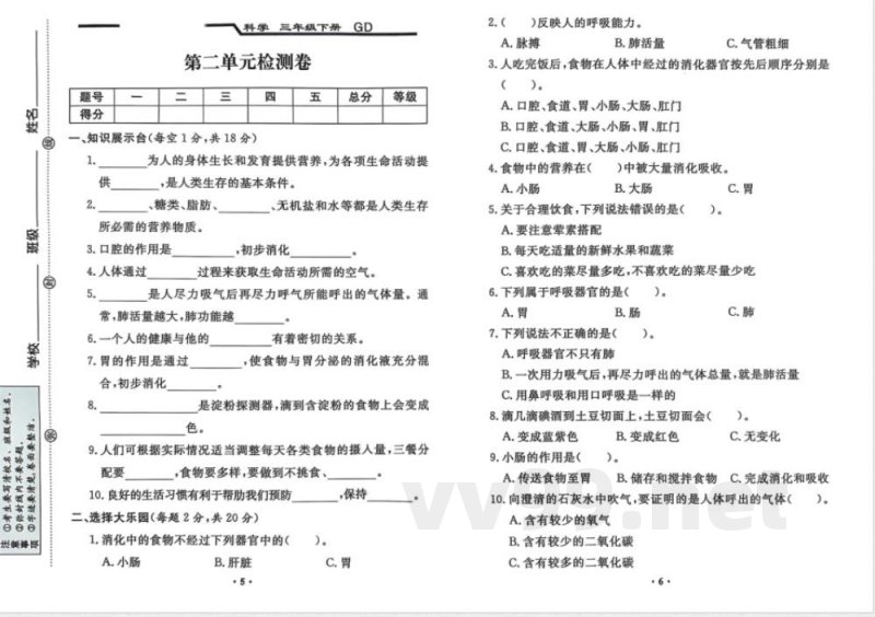 粤教版广东版三年级科学下册全套试卷（附答案）