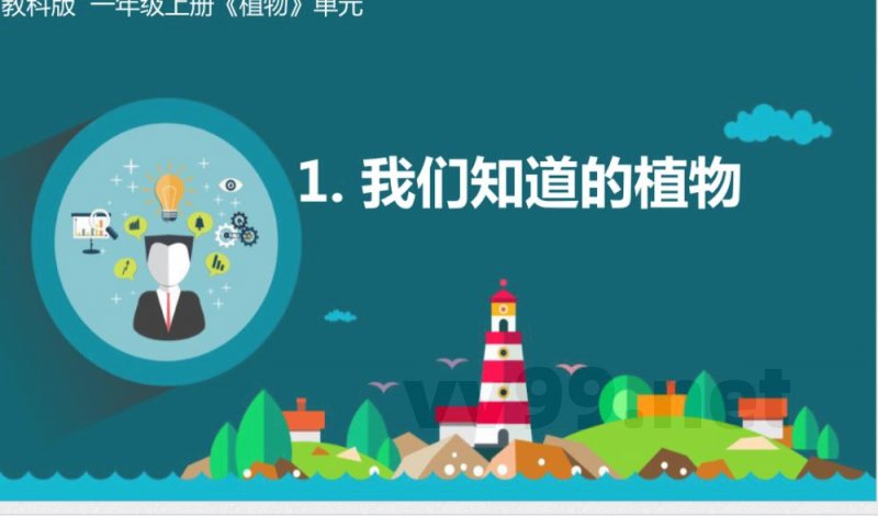 教科版 一年级上册《植物》单元 课件
