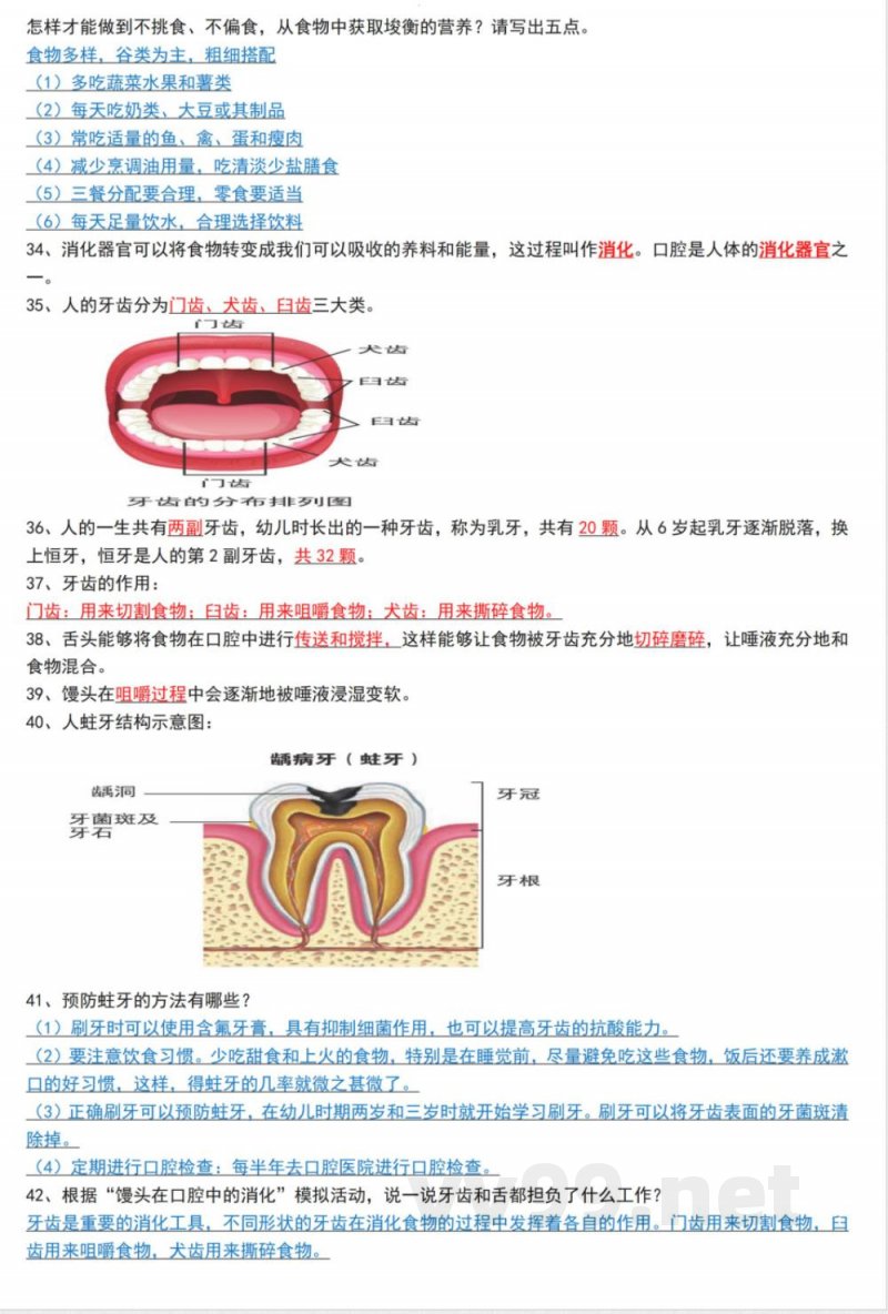 4803《四年级上册科学知识点汇总》教科版(1)