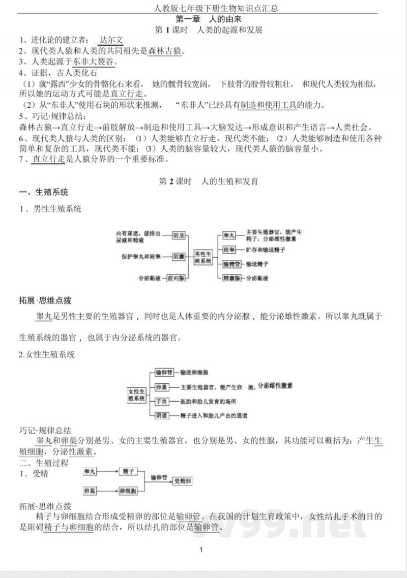 人教版七年级下册生物知识点汇总 人教版七年级下册生物知识点汇总