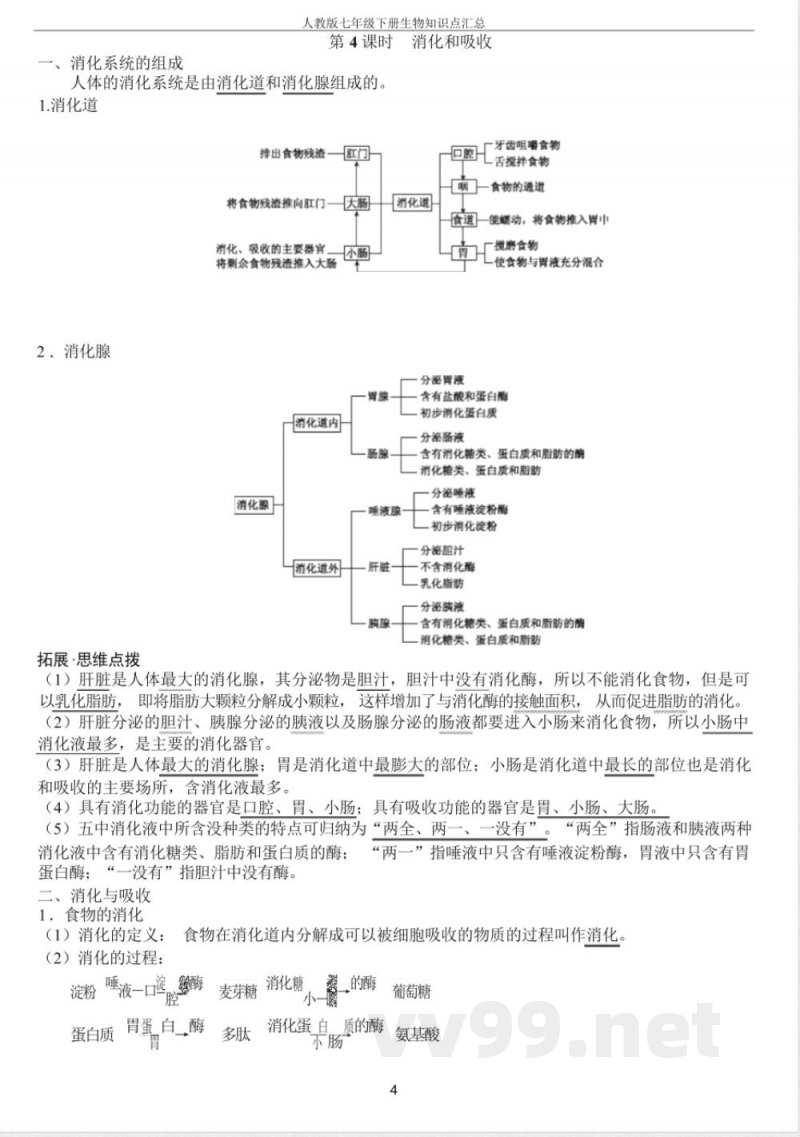 人教版七年级下册生物知识点汇总 人教版七年级下册生物知识点汇总