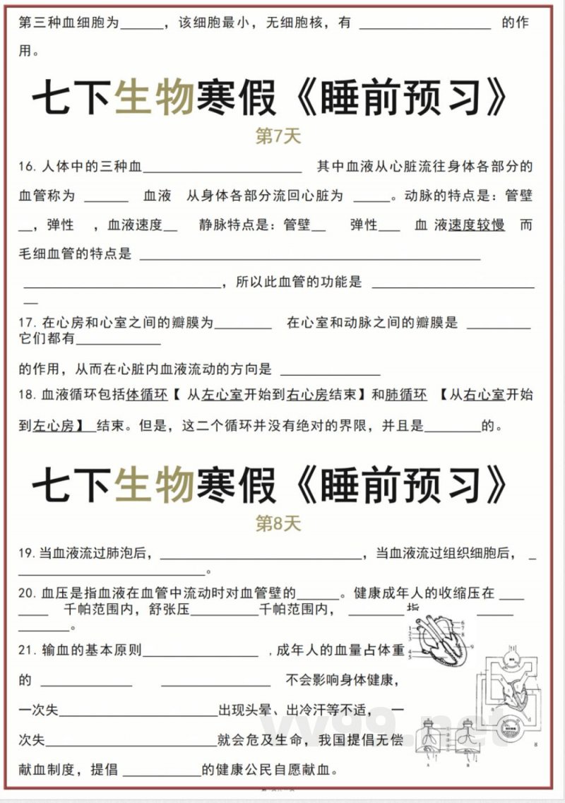 人教版七年级下册生物知识点睡前预习 人教版七年级下册生物知识点睡前预习