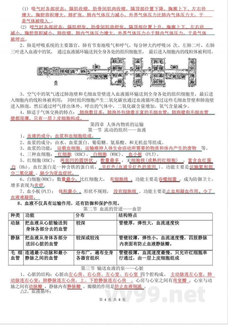 七年级下册生物知识点总结 七年级下册生物知识点总结