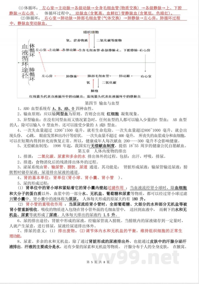 七年级下册生物知识点总结 七年级下册生物知识点总结