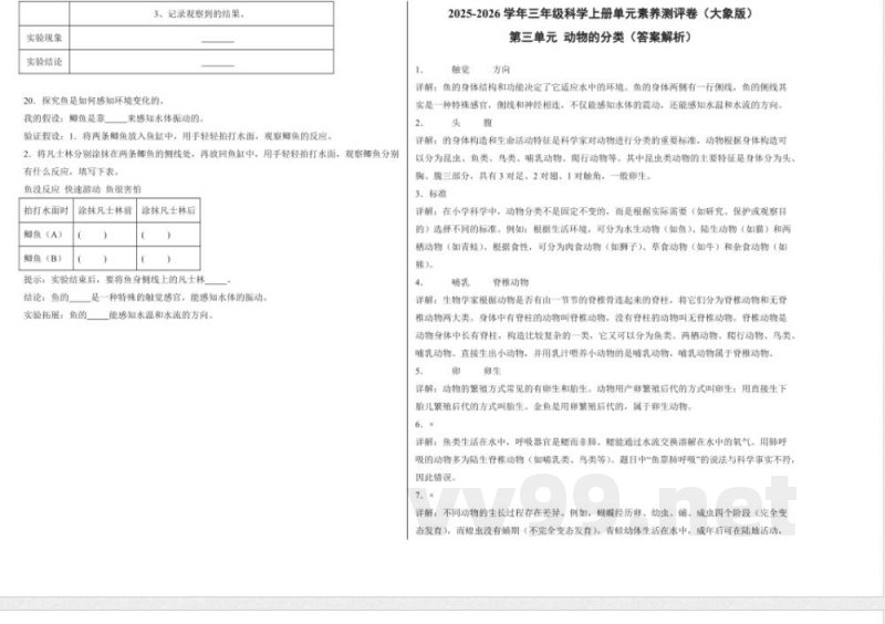第三单元 动物的分类(单元测试)科学大象版三年级上册 A3版 第三单元 动物的分类(单元测试)科学大象版三年级上册 A3版