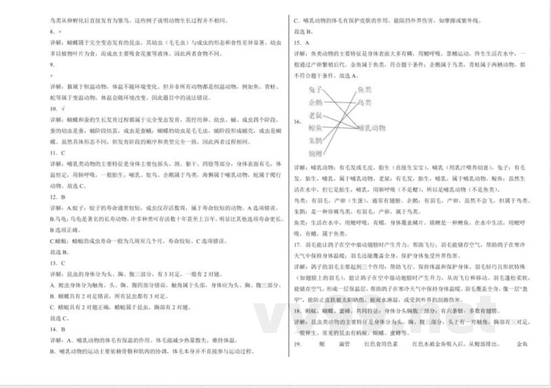 第三单元 动物的分类(单元测试)科学大象版三年级上册 A3版 第三单元 动物的分类(单元测试)科学大象版三年级上册 A3版