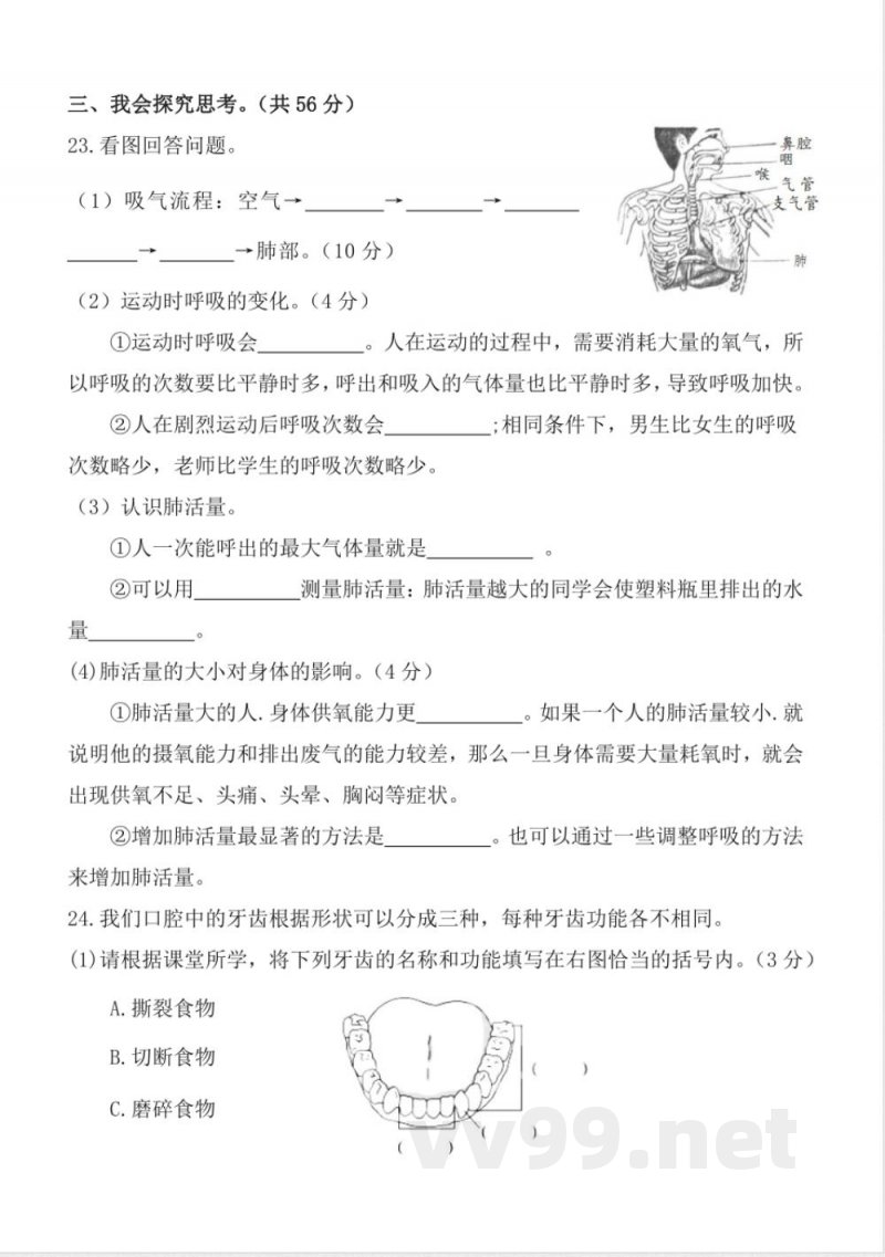 第二单元 (单元测试) 科学四年级上册(教科版) 第二单元 (单元测试) 科学四年级上册(教科版)