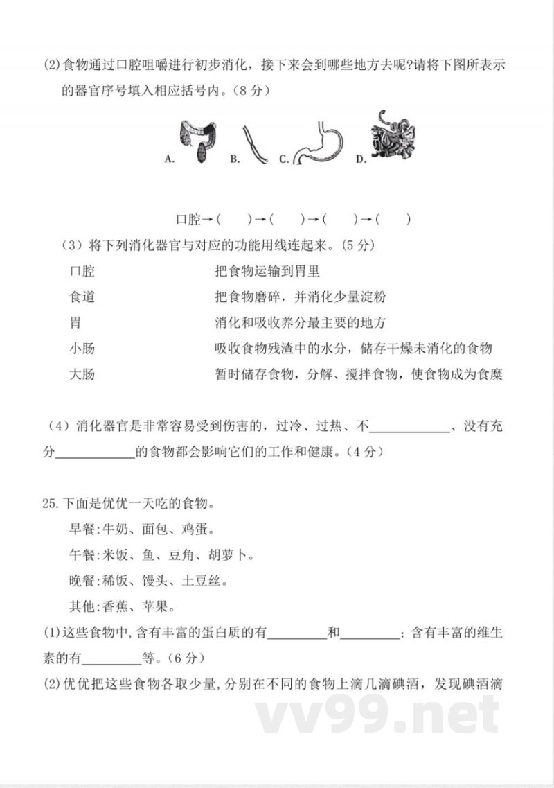第二单元 (单元测试) 科学四年级上册(教科版) 第二单元 (单元测试) 科学四年级上册(教科版)