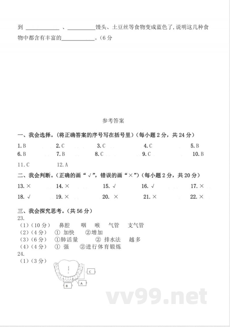 第二单元 (单元测试) 科学四年级上册(教科版) 第二单元 (单元测试) 科学四年级上册(教科版)
