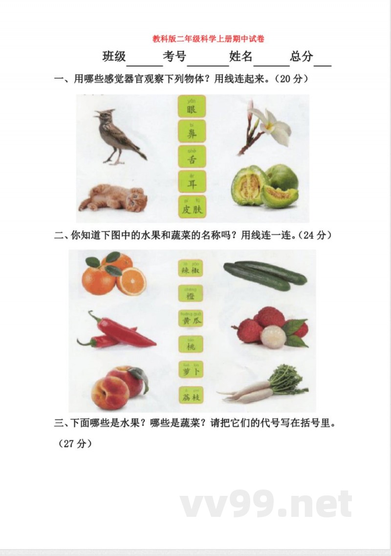 【科学】教科版二年级科学上册期中试卷 【科学】教科版二年级科学上册期中试卷