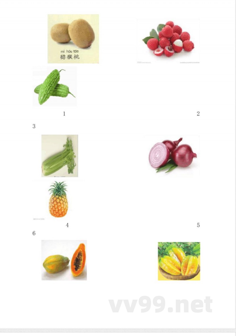 【科学】教科版二年级科学上册期中试卷 【科学】教科版二年级科学上册期中试卷