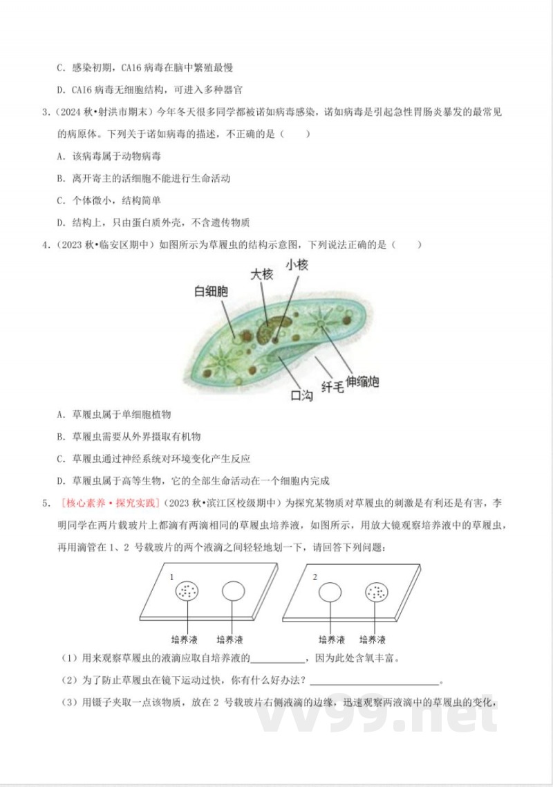 1.4微生物的结构与生殖（2）（同步练习）浙教版科学七年级下册