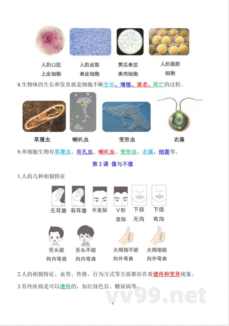 新青岛版六三制六年级上册科学全册精编知识点 新青岛版六三制六年级上册科学全册精编知识点