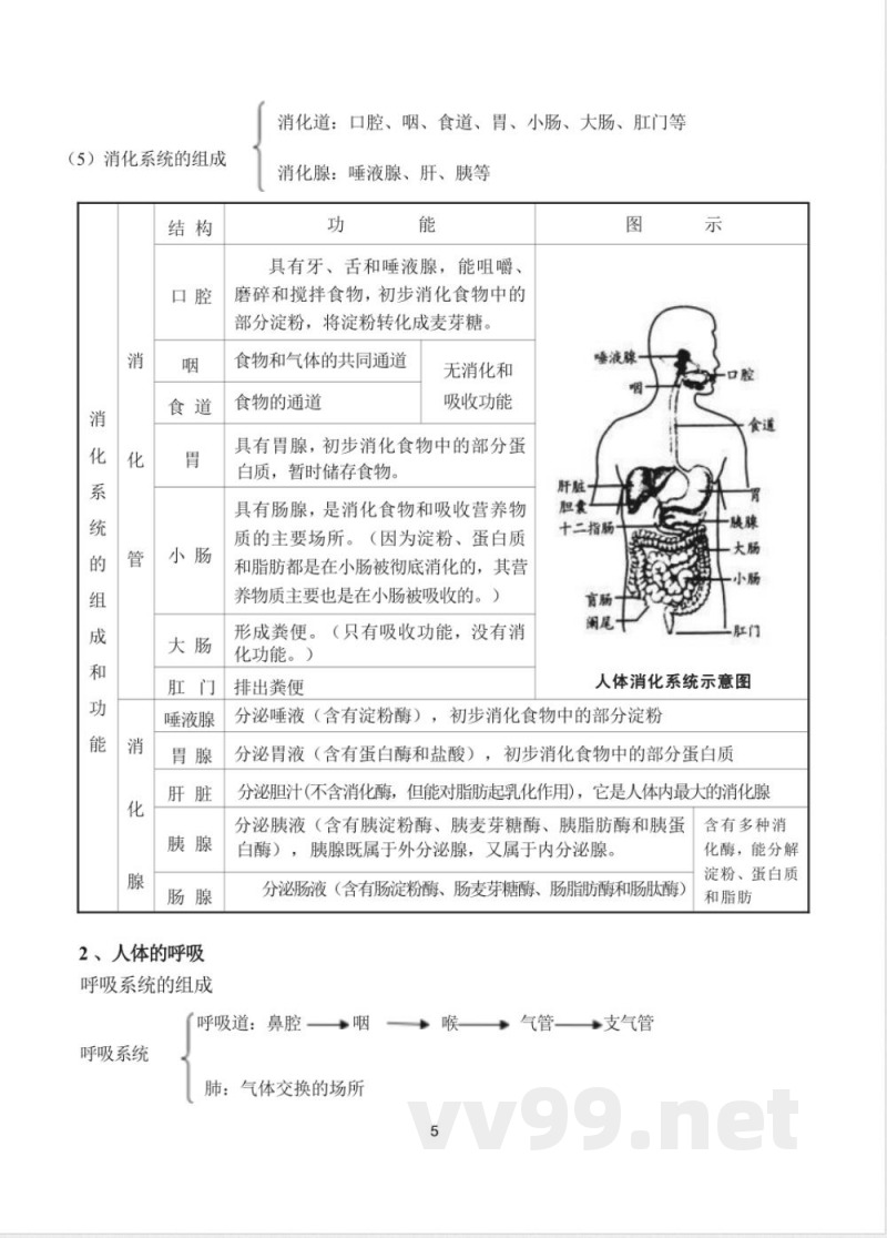 七年级下册生物知识点梳理汇总 七年级下册生物知识点梳理汇总