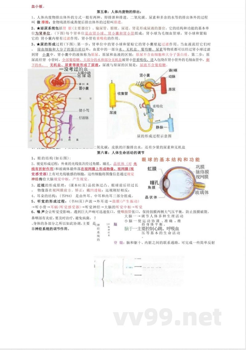 七年级下册生物知识点归纳整理 七年级下册生物知识点归纳整理