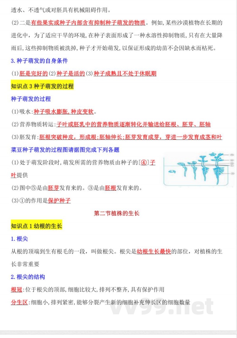【25新版】七年级下册生物知识点总结 【25新版】七年级下册生物知识点总结
