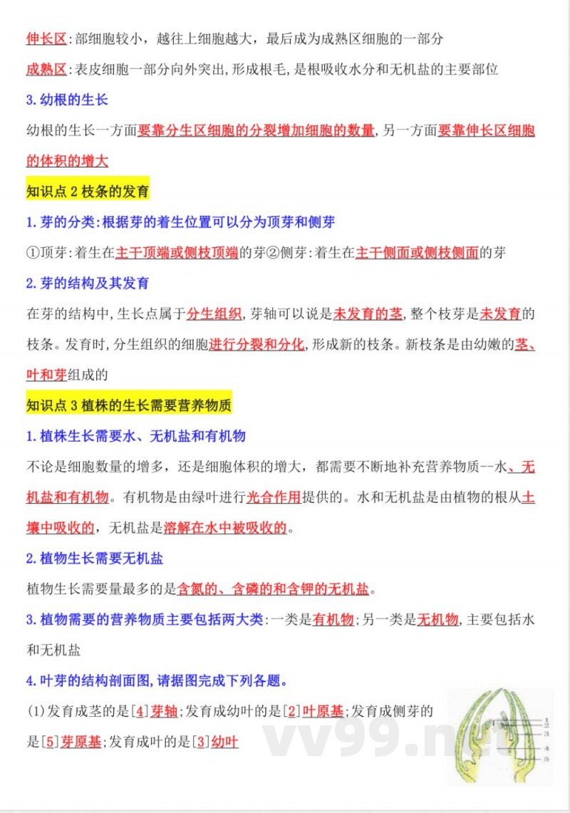 【25新版】七年级下册生物知识点总结 【25新版】七年级下册生物知识点总结