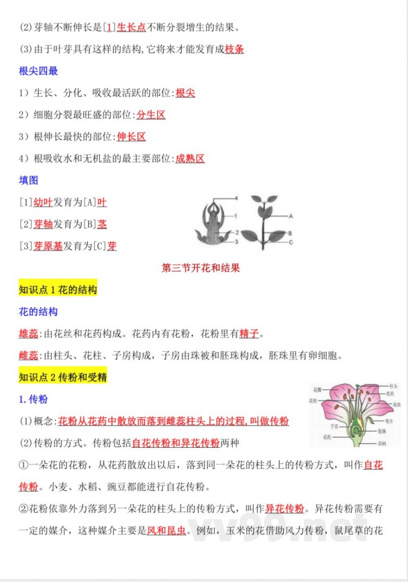 【25新版】七年级下册生物知识点总结 【25新版】七年级下册生物知识点总结