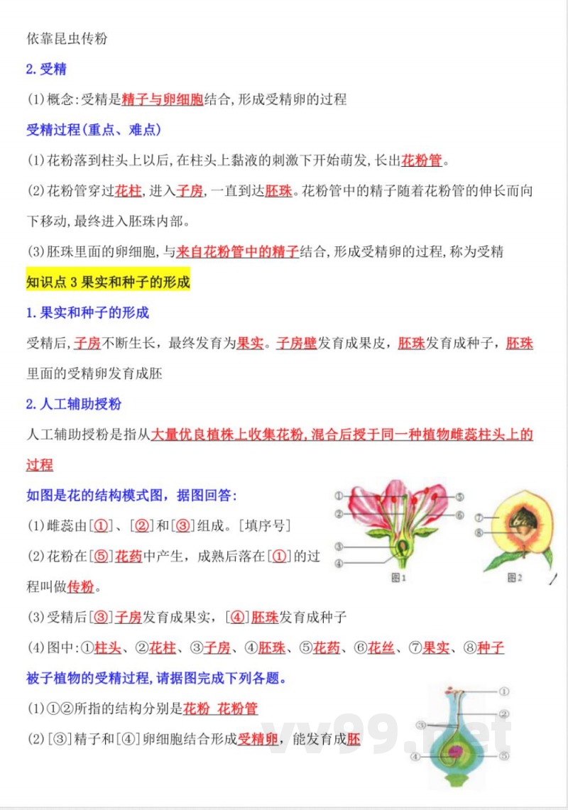 【25新版】七年级下册生物知识点总结 【25新版】七年级下册生物知识点总结