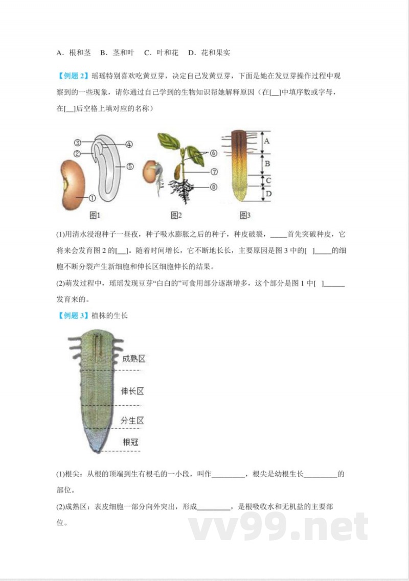 七年级生物下册单元专题知识点通关