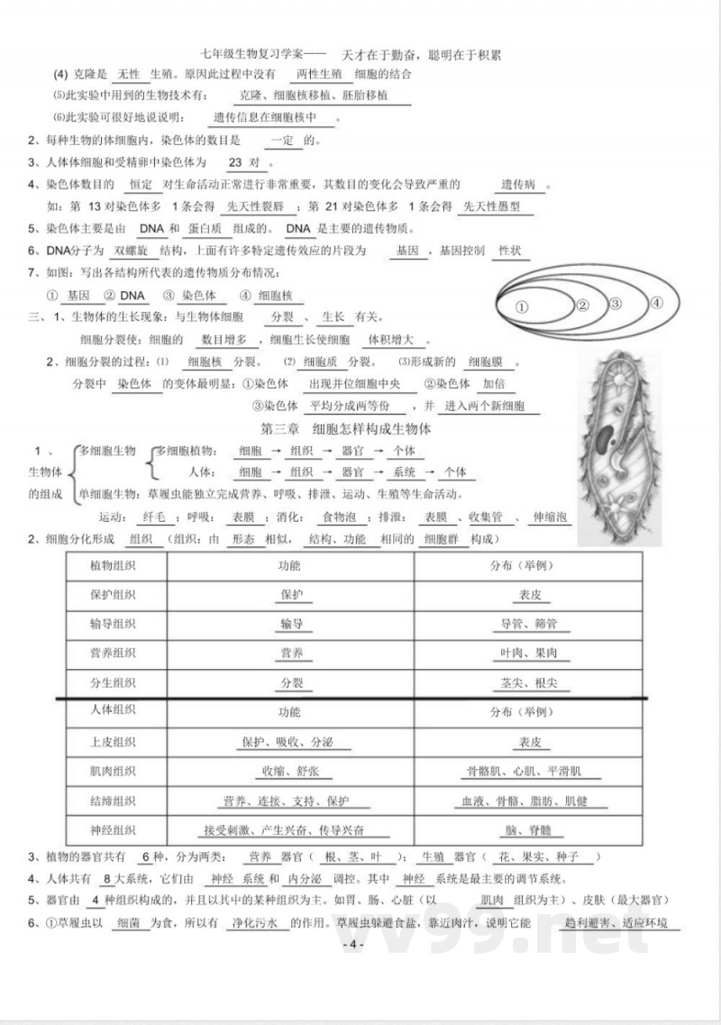 人教版七年级上册生物知识点总结------ 人教版七年级上册生物知识点总结------