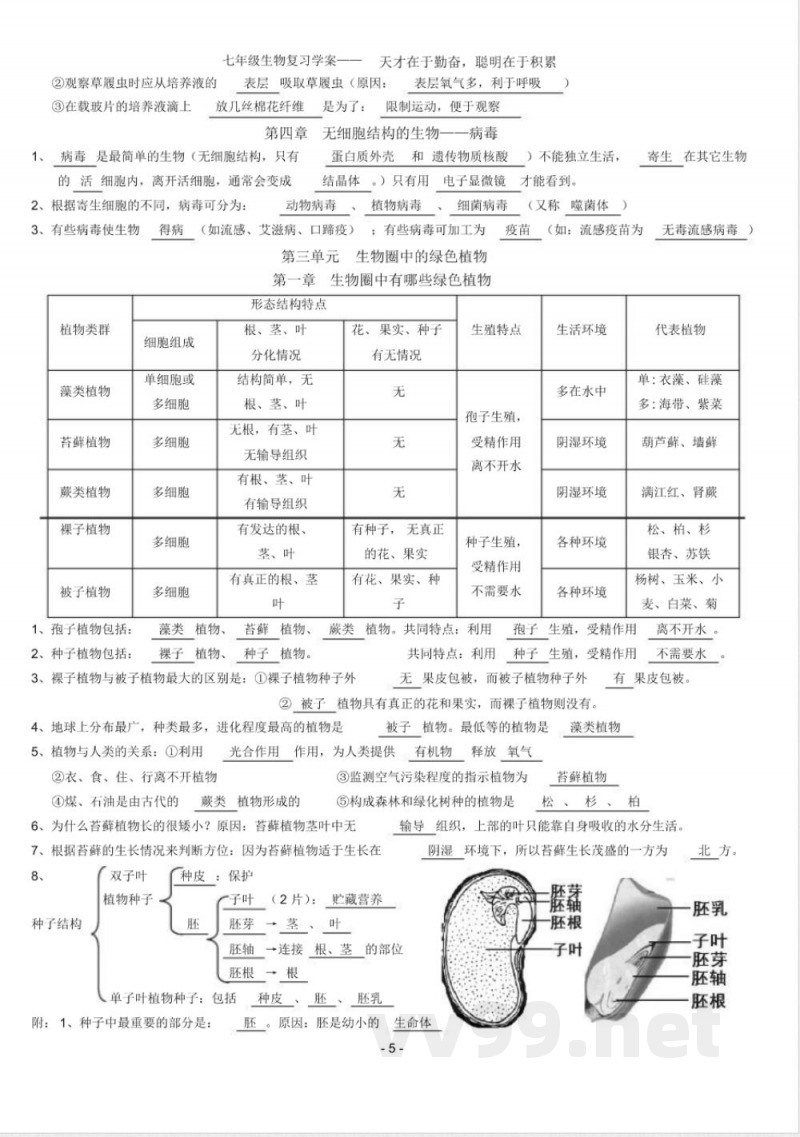 人教版七年级上册生物知识点总结------ 人教版七年级上册生物知识点总结------