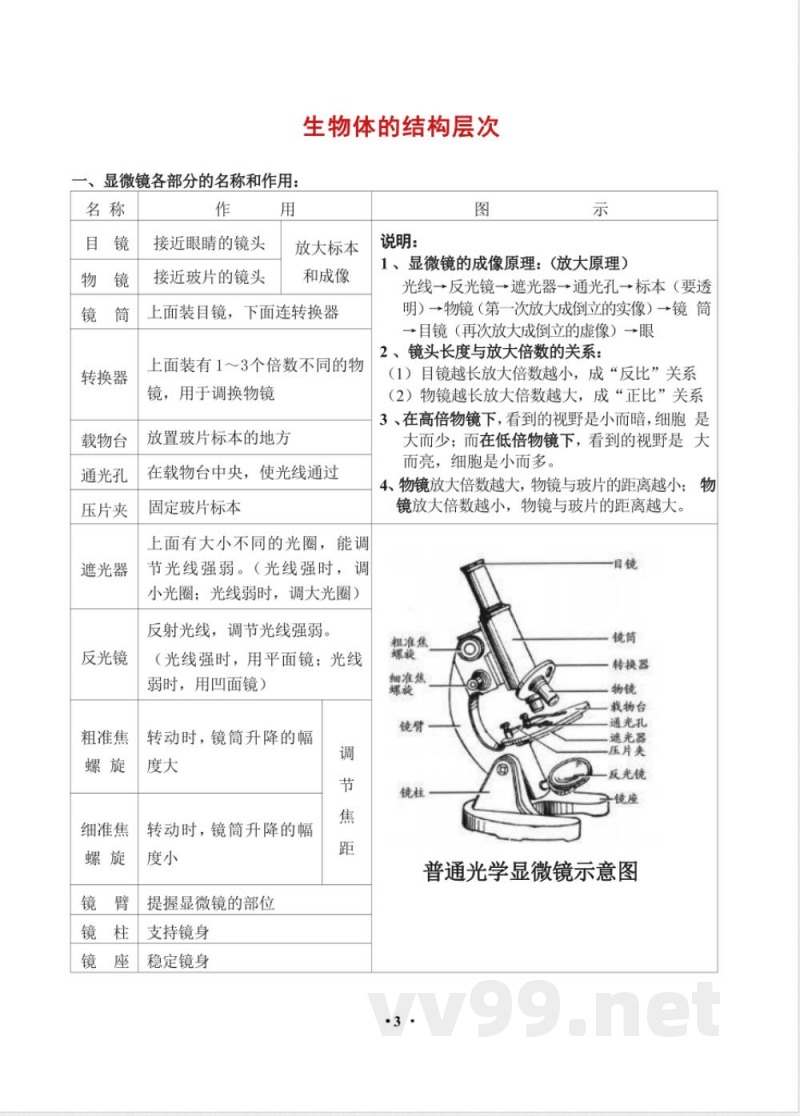 七年级上册生物知识点梳理汇总 七年级上册生物知识点梳理汇总