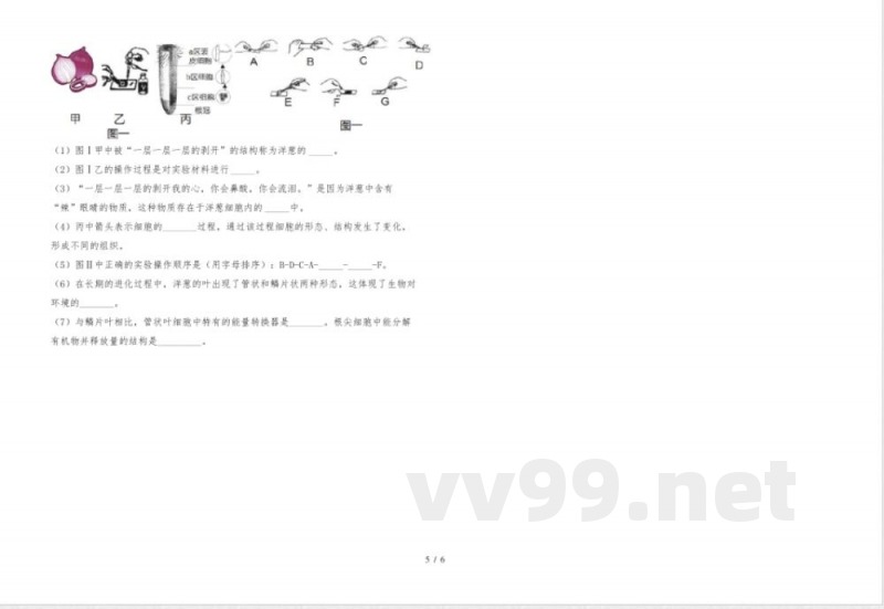 人教版七年级上册《生物》期末试卷(及答案) 人教版七年级上册《生物》期末试卷(及答案)