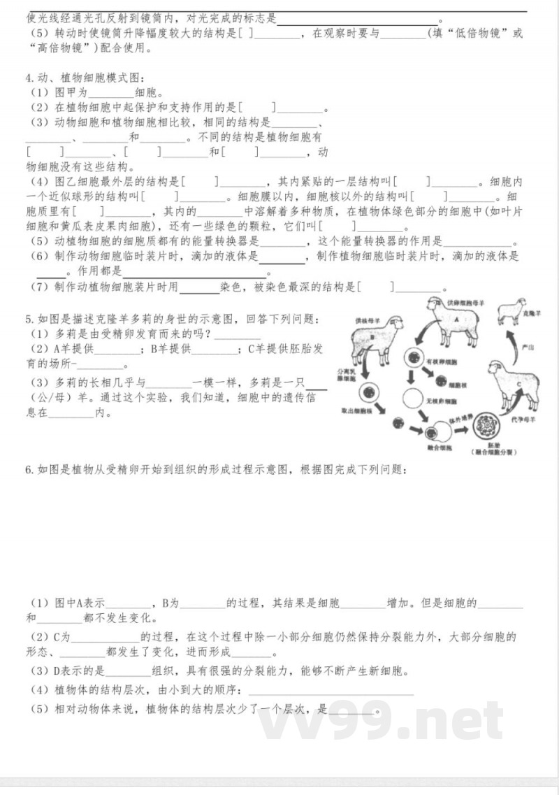 期末总复习识图练习 人教版生物七年级上册 期末总复习识图练习 人教版生物七年级上册