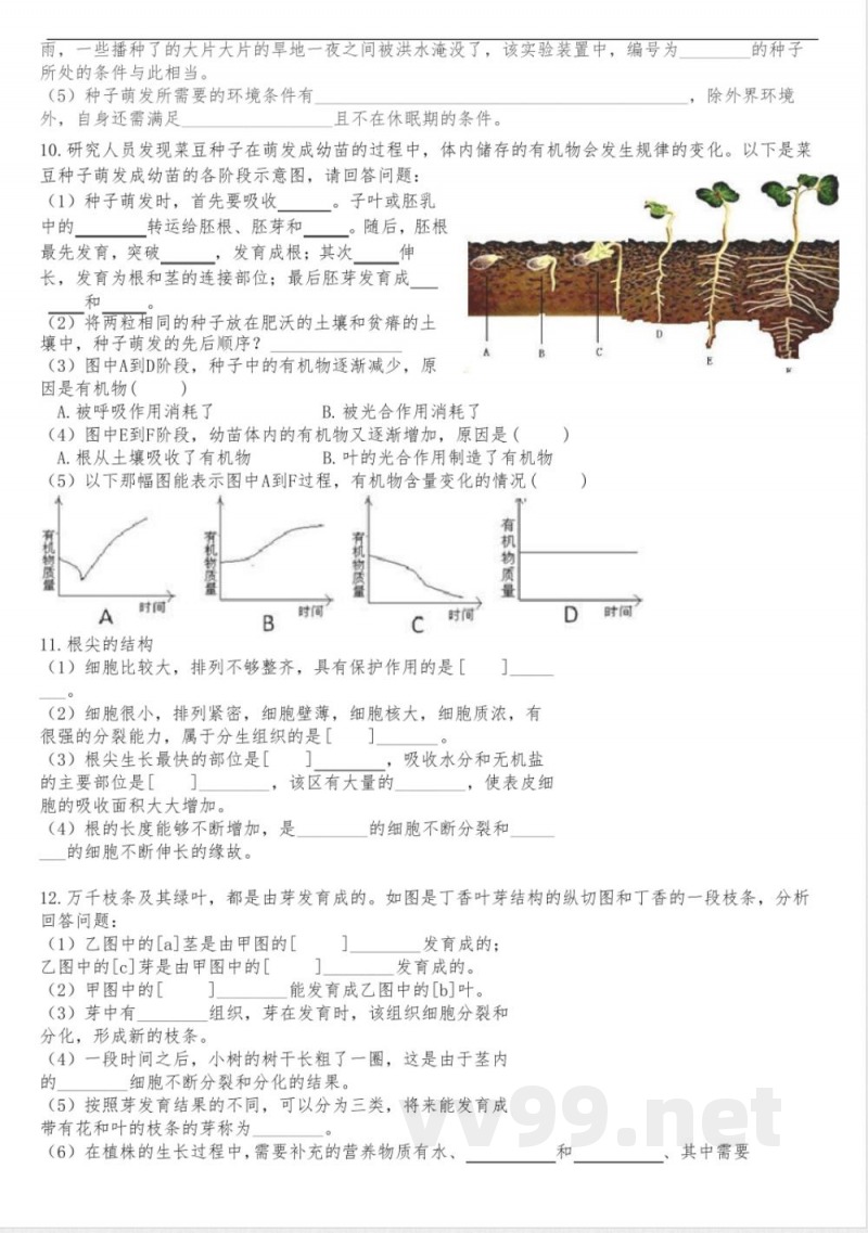期末总复习识图练习 人教版生物七年级上册 期末总复习识图练习 人教版生物七年级上册