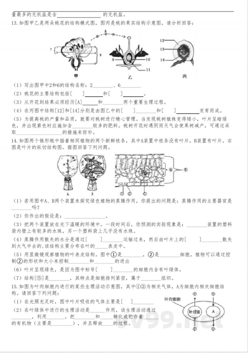 期末总复习识图练习 人教版生物七年级上册 期末总复习识图练习 人教版生物七年级上册