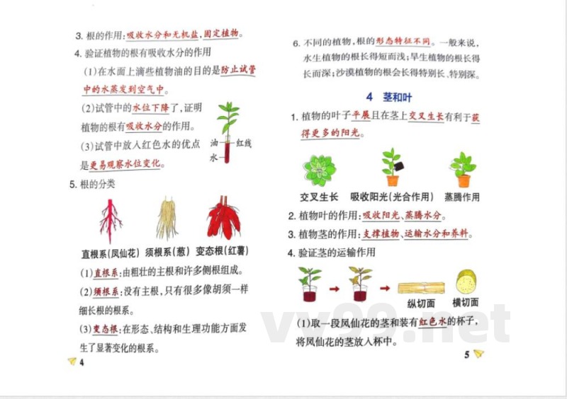 四年级科学下册知识点笔记 四年级科学下册知识点笔记